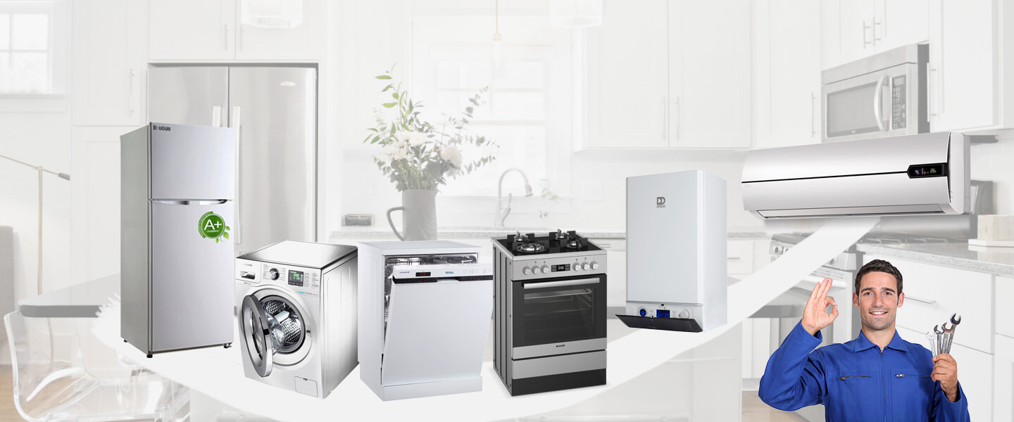 Erciş Gaggenau Servisi